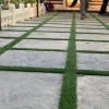 بتن اکسپوز